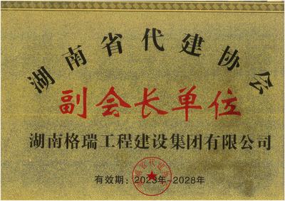 湖南省代建协会副会长单位